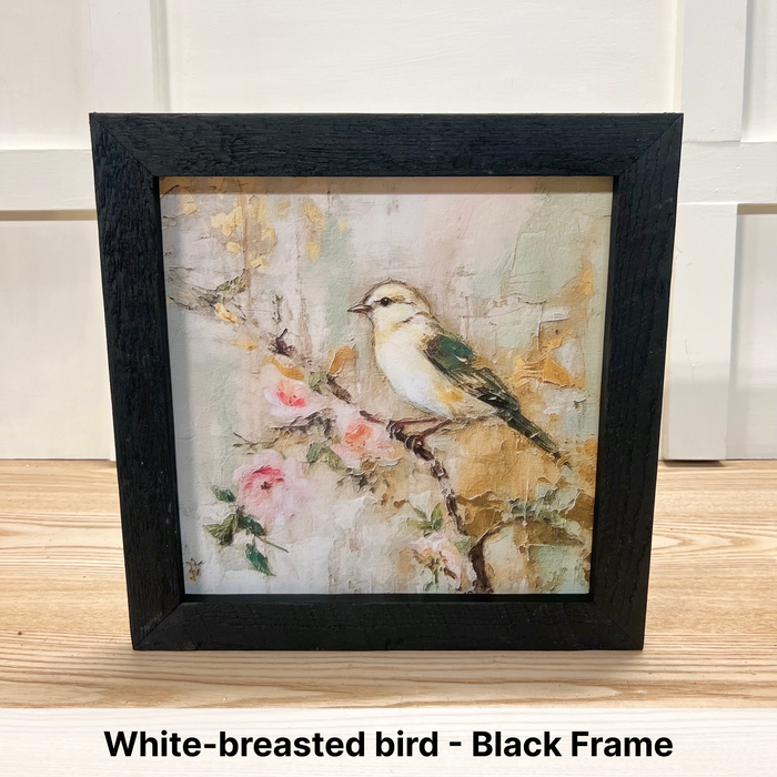 White-breasted bird on branch - Black Frame