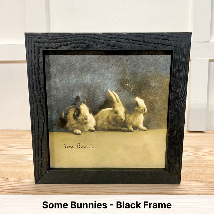 Some Bunnies - Black Frame