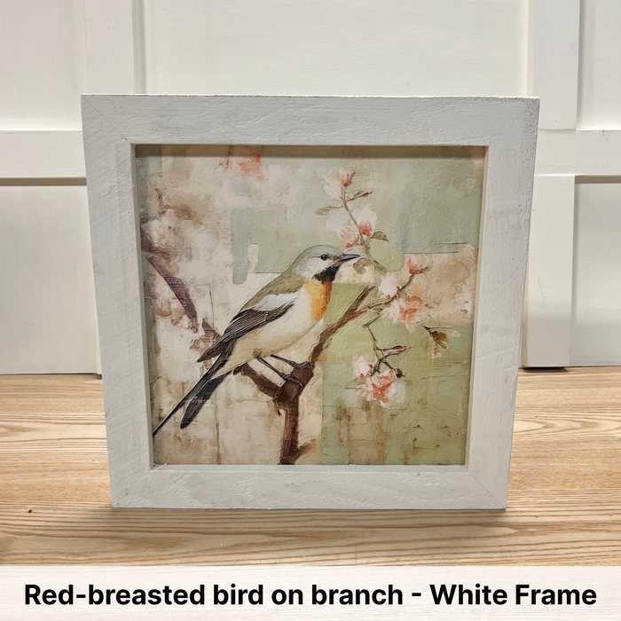 Red-breasted bird on branch - White Frame