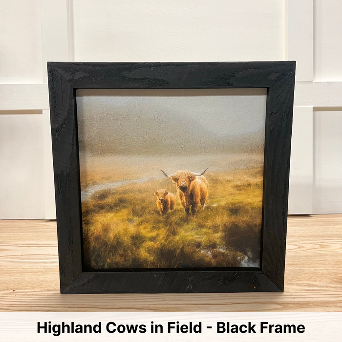 Highland Cows in Field - Black Frame
