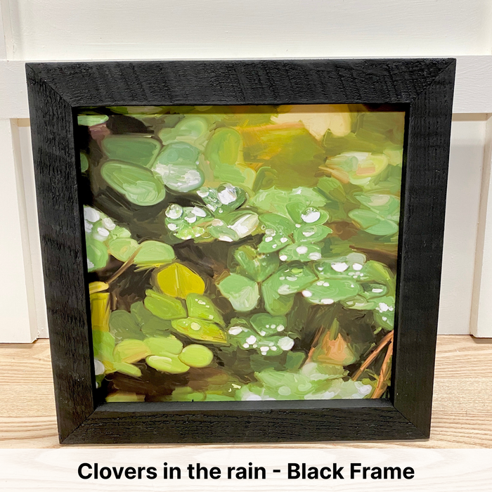 Clovers in the rain - Black Frame