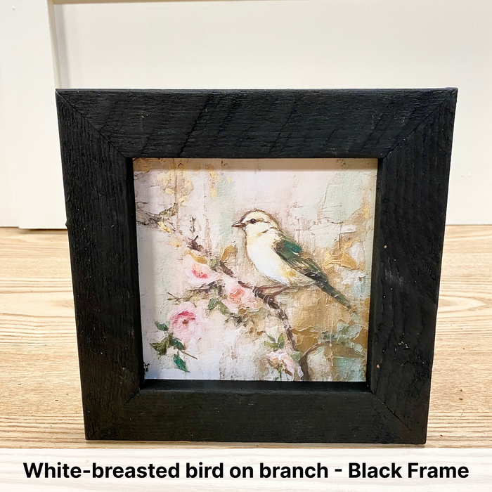 White-breasted bird on branch - Black Frame