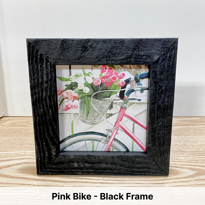 Pink Bike - Black Frame