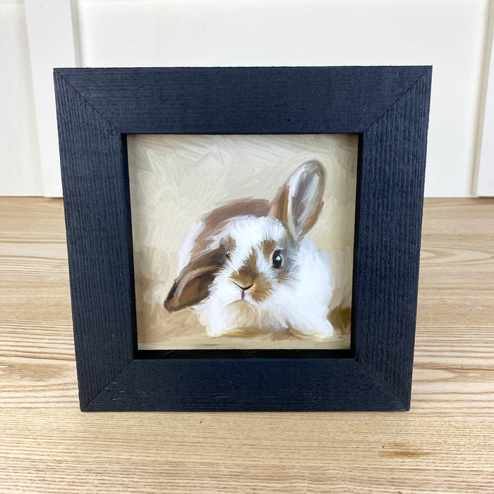 Baby Bunny - Black Frame