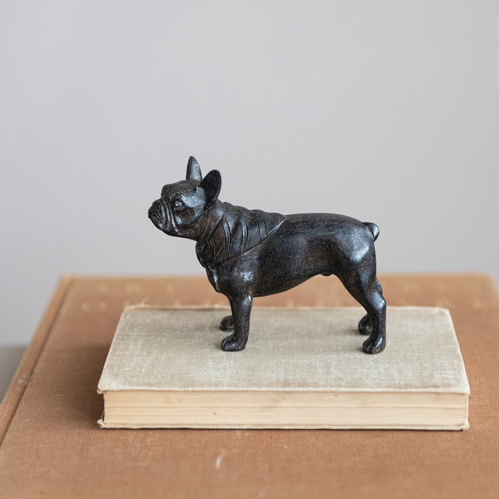 French Bulldog, Black