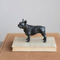 French Bulldog, Black