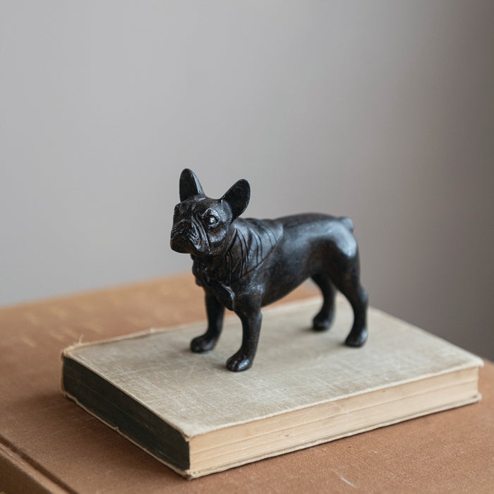 French Bulldog, Black