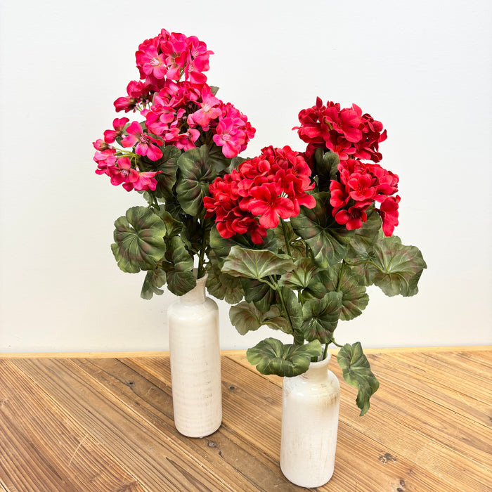 Geranium Bush - 2 Colors