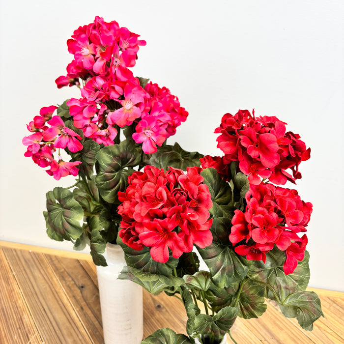 Geranium Bush - 2 Colors