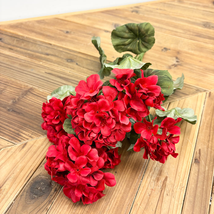 Geranium Bush - 2 Colors