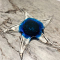 Glass Starfish