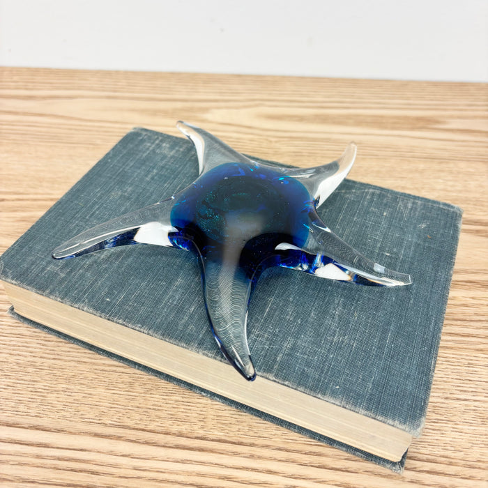 Glass Starfish