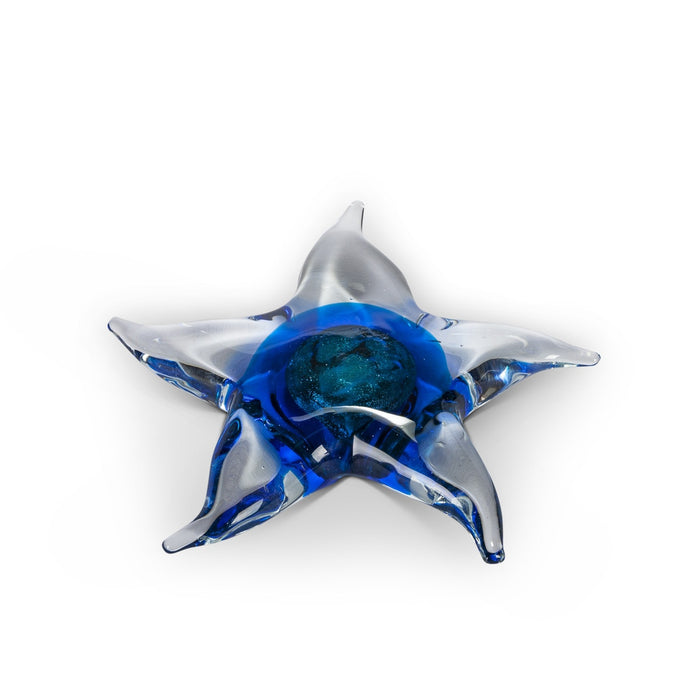 Glass Starfish