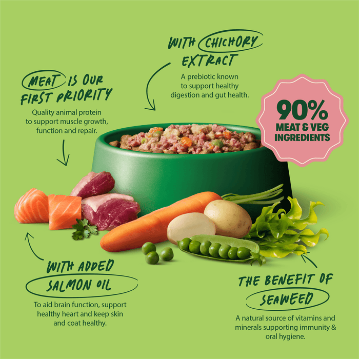 Grain Free Tasty Selection Wet Dog Food Bumper Pack 6 x 150g