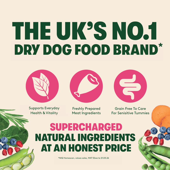 Harringtons Superfoods Grain-Free Dry Adult Dog Food Salmon & Vegetables 1.7kg