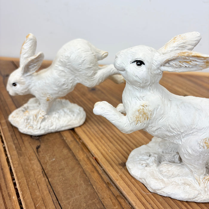 Hopping Bunnies - 2 Styles