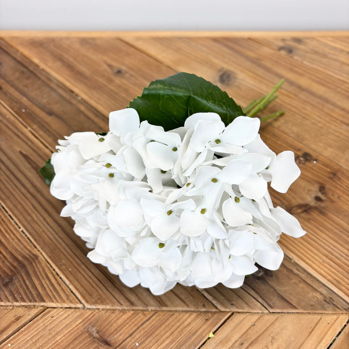 Hydrangea - 3 Colors