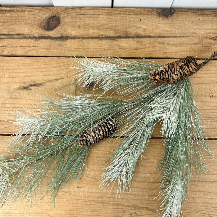 Icy Long Pine Stem