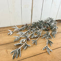 Snowy Pine Vine