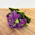Kalanchoe Stem - 2 Colors