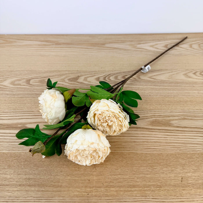 Large Peony Spray