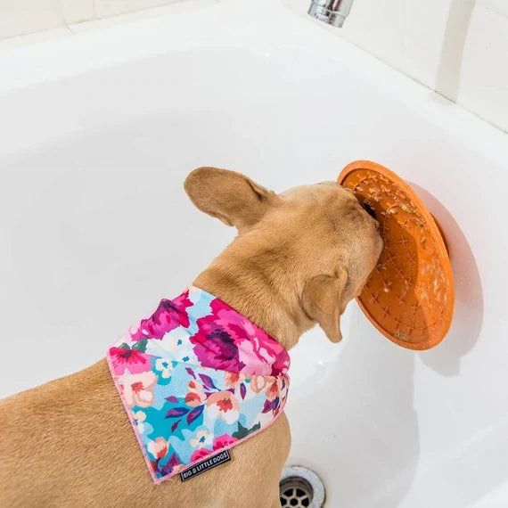 LickiMat® Splash™