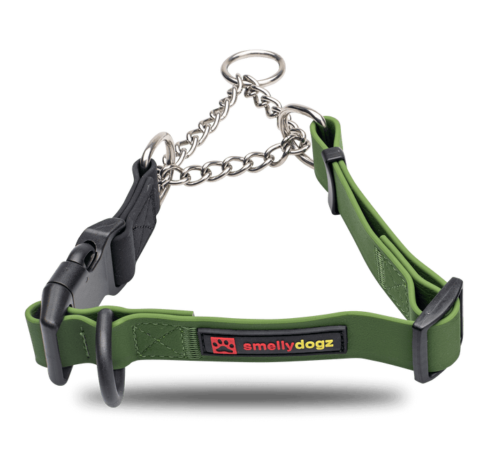 Martingale Collar