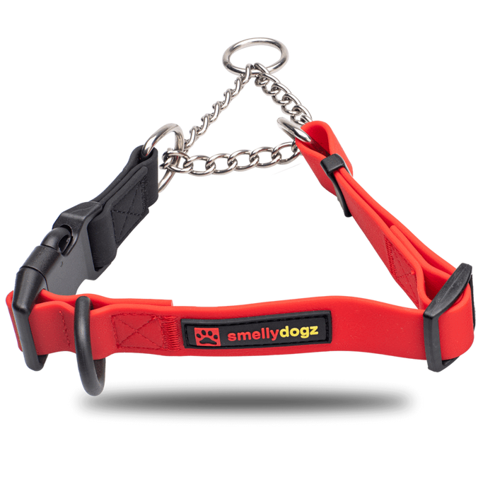 Martingale Collar
