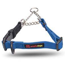 Martingale Collar