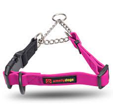 Martingale Collar