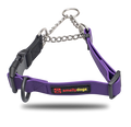 Martingale Collar