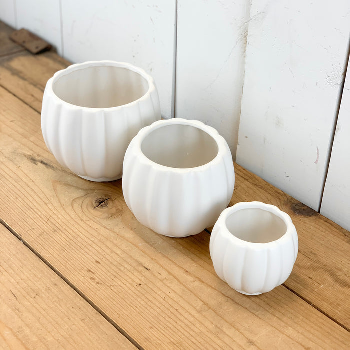 Matte White Scalloped Pot