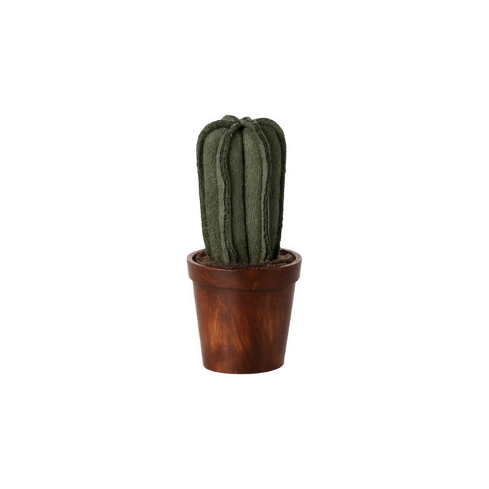 Mini Cactus Flower Pot
