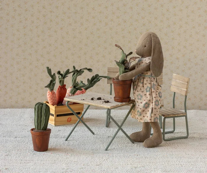 Mini Cactus Flower Pot