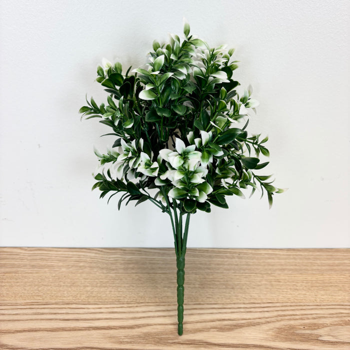 Mini Tea Leaf Bush