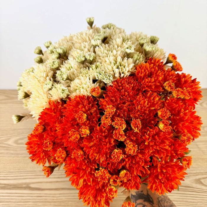 Mum Bush - 2 Colors