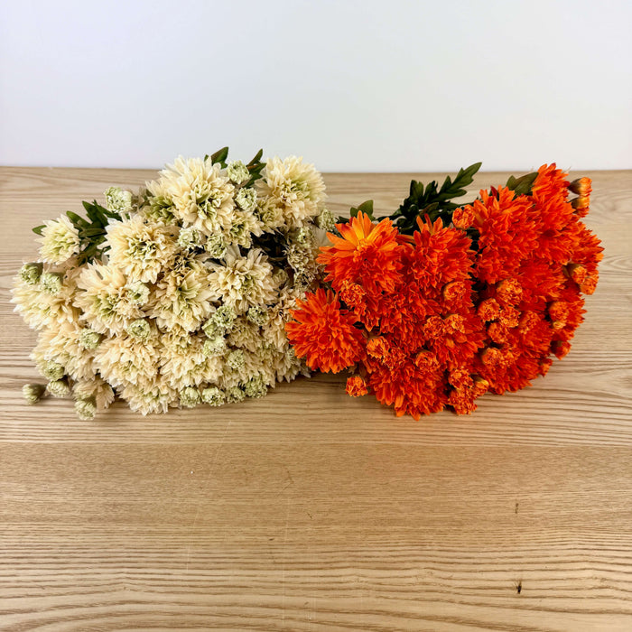 Mum Bush - 2 Colors