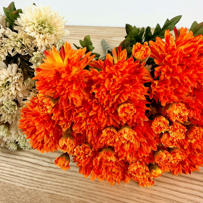 Mum Bush - 2 Colors