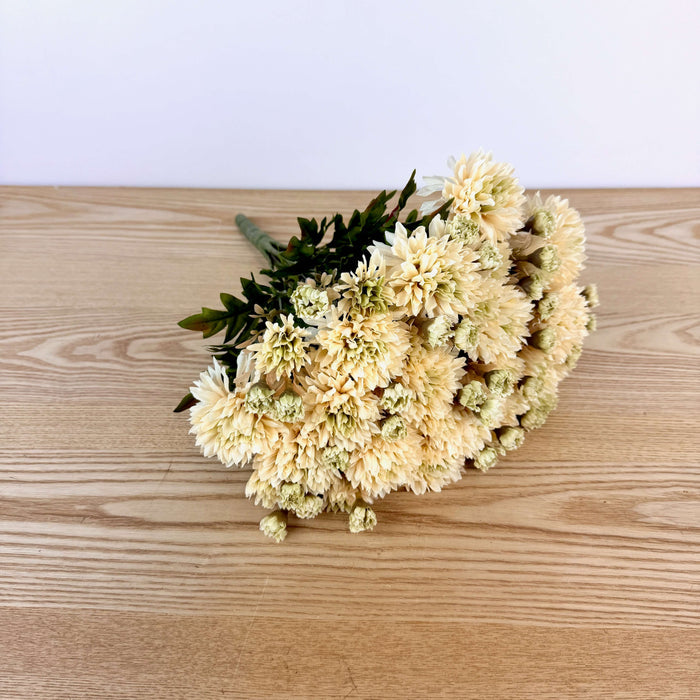 Mum Bush - 2 Colors