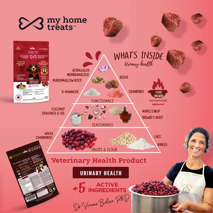 My Home Treats - Urinary Health Biscuit -170g *CLEARANCE*