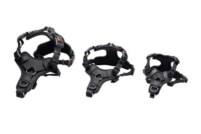 No-Pull Comfort Harness