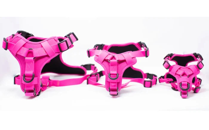 No-Pull Comfort Harness