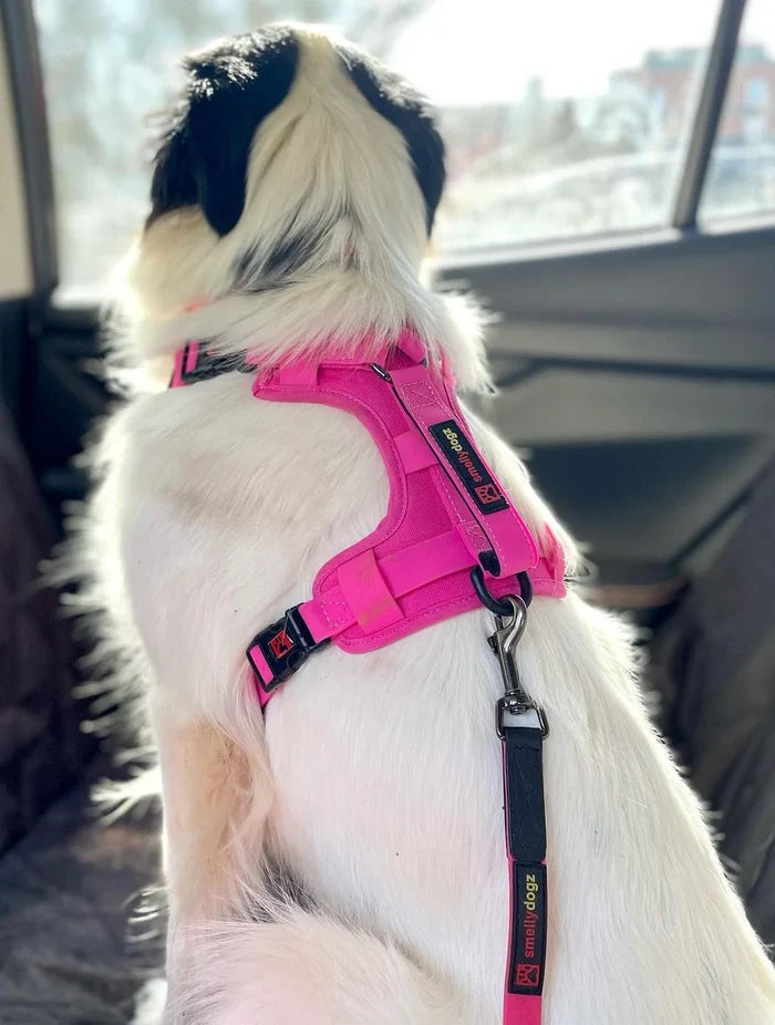No-Pull Comfort Harness