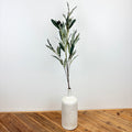 Olive Branch