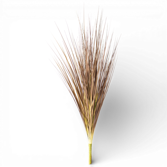 Onion Grass Spray