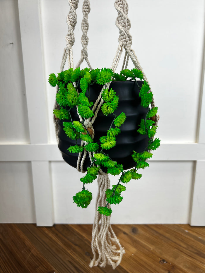 Plant Hanger