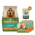 Puppy Starter Pack