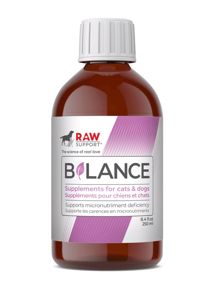 Raw Support Inc -Balance