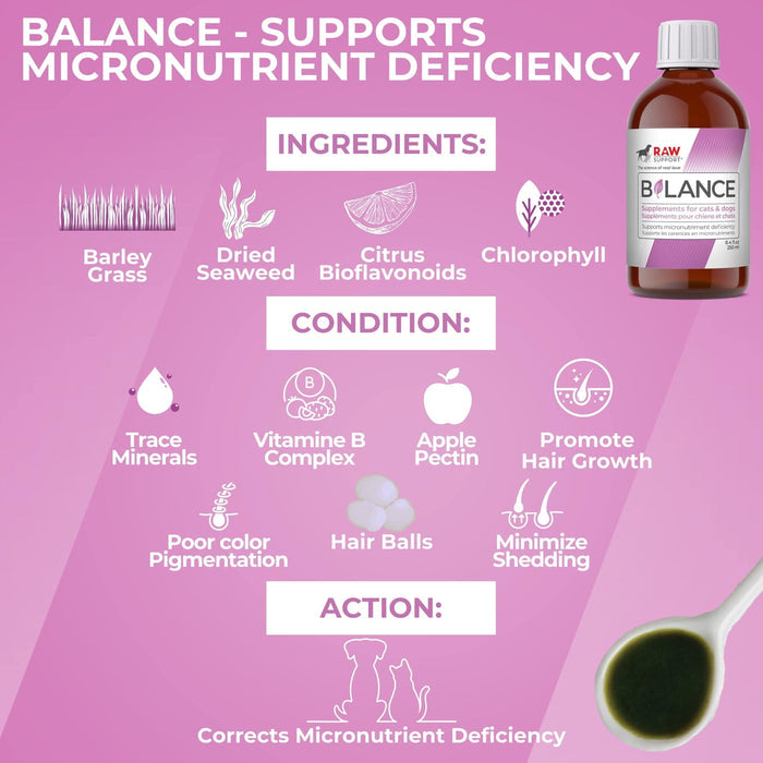 Raw Support Inc -Balance