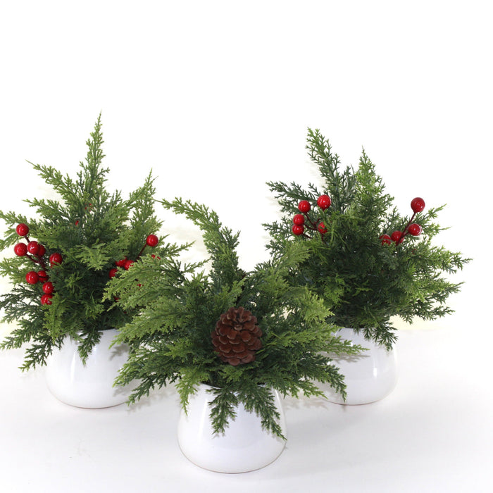 Real Touch Pine in White Pot, 2 styles to choose from